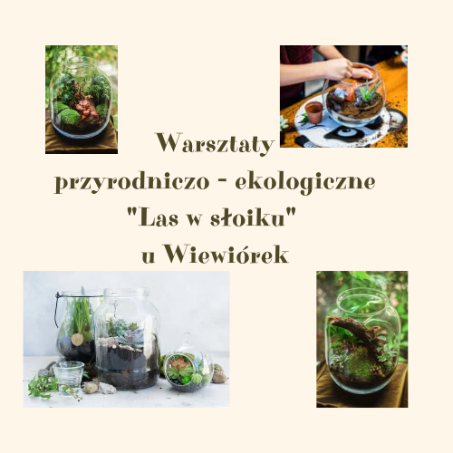 Warsztaty z rodzicami w grupie Wiewi&oacute;rki