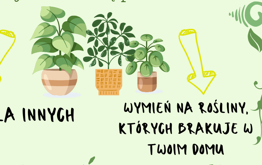Adapciakowo - wymiana roślin doniczkowych 