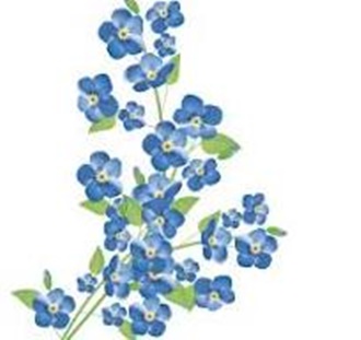 DZIEŃ POLSKIEJ NIEZAPOMINAJKI 