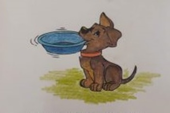 Zbi&oacute;rka karmy