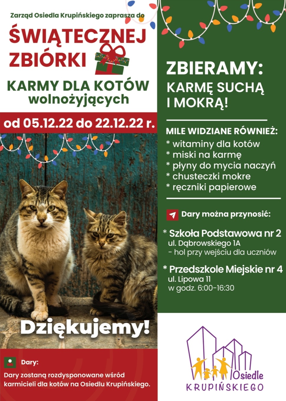 Świąteczna zbiórka karmy dla kotów