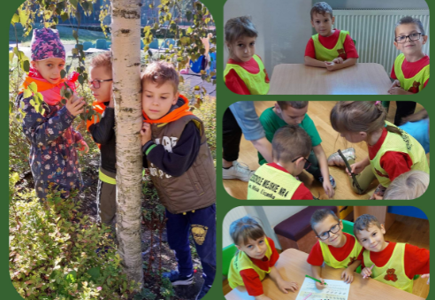 Olimpiada ekologiczna