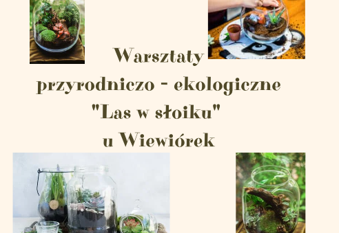 Warsztaty z rodzicami w grupie Wiewiórki