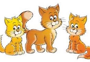 Dzień kota u Kotków 