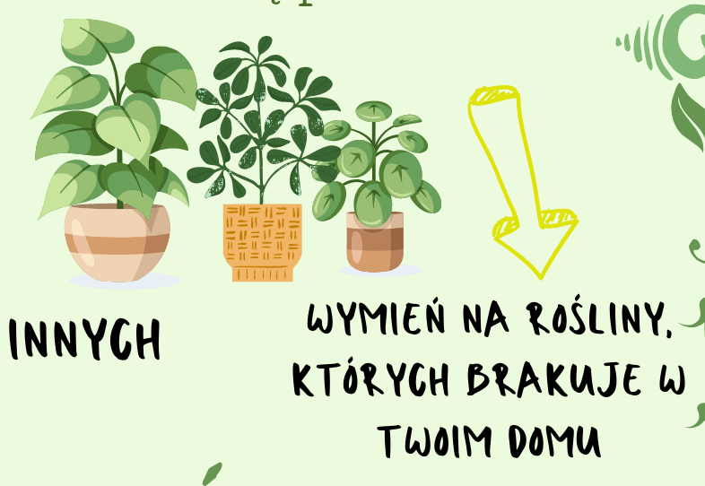 Adapciakowo - wymiana roślin doniczkowych 