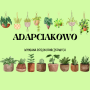 Akcja proekologiczna "Adapciakowo" - wymiana roślin doniczkowych