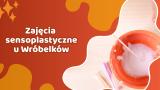 Zajęcia sensoplastyczne u Wróbelków